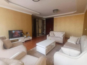 Lovely 2-Bed Apartment in Arat Kilo Addis Ababa
